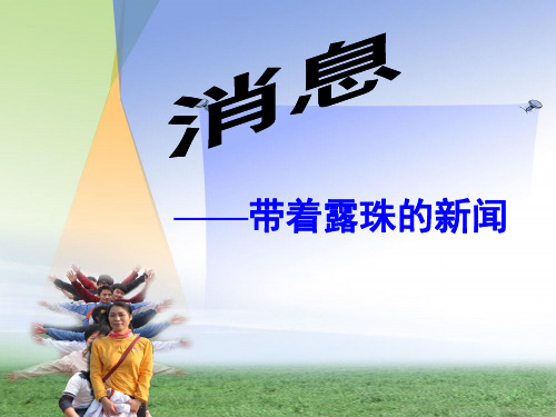 消息：带着露珠的新闻ppt课件八