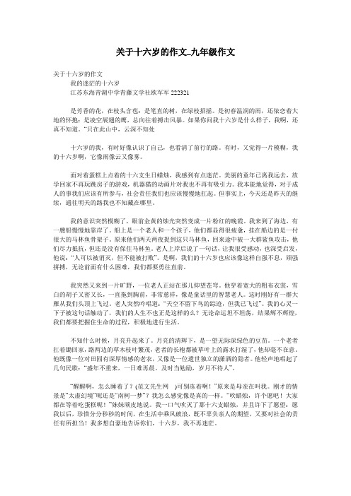 关于十六岁的作文_九年级作文