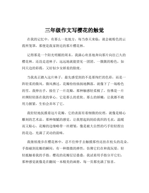 三年级作文写樱花的触觉
