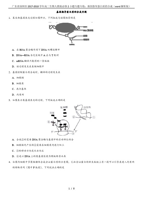 广东省深圳市2017-2018学年高二生物人教版必修2小题专题专练：基因指导蛋白质的合成(word解
