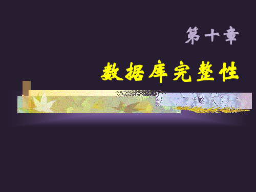 第十章数据库完整性