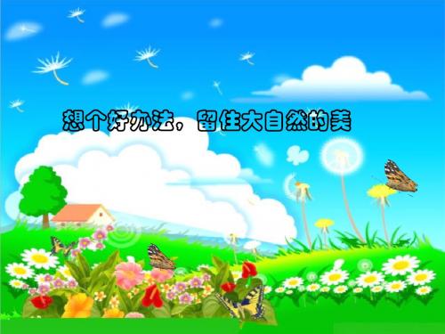 一年级下册道德与法治课件-第15课《留住大自然的美》 教科版 