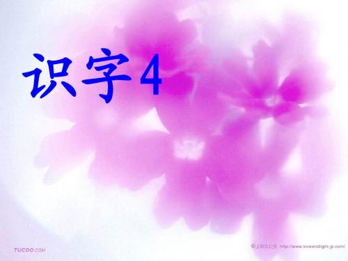 一年级语文上册识字4课件