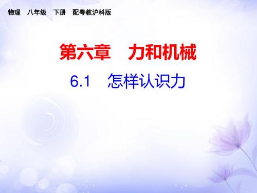 2018春粤教版八年级下册物理第六章力和机械第一节怎样认识力
