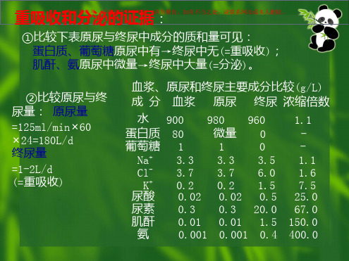 节肾小管和集合管的泌尿功能课件