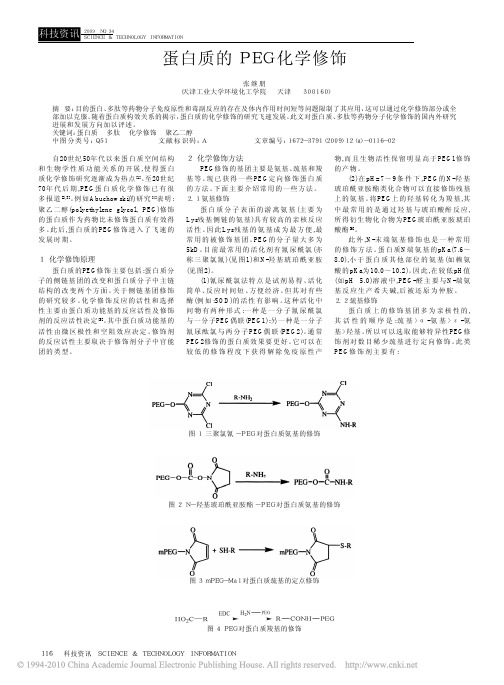 蛋白质的PEG化学修饰