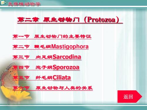 普通高等动物学课件