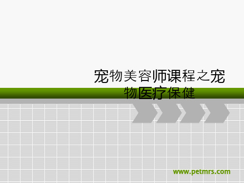 宠物美容师课程之宠物医疗保健ppt课件