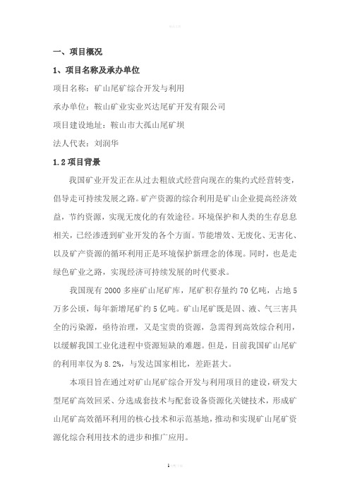 矿山尾矿综合开发与利用项目可行性研究报告-精品