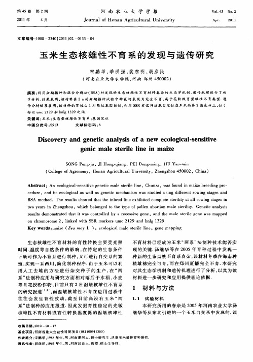 玉米生态核雄性不育系的发现与遗传研究