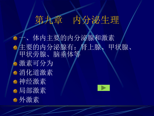 第十章内分泌生理_PPT幻灯片