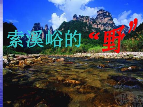 《索溪峪的野》PPT课件