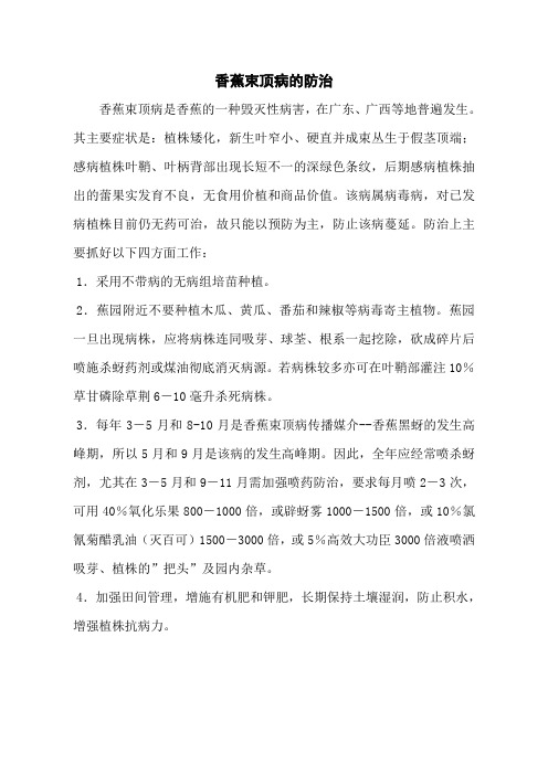 香蕉束顶病的防治