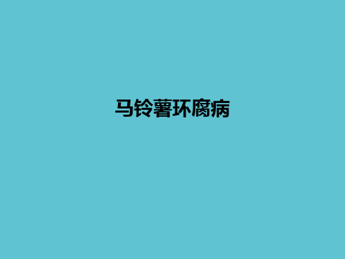 【完整】马铃薯环腐病资料PPT