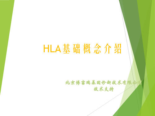 HLA基础概念介绍