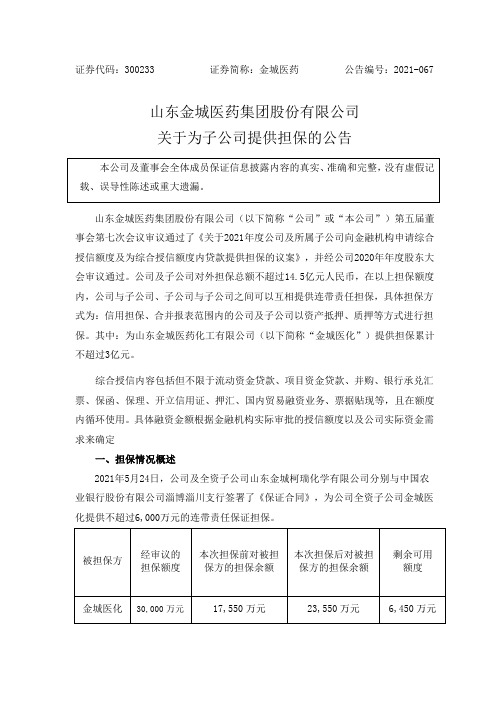 300233金城医药：关于为子公司提供担保的公告