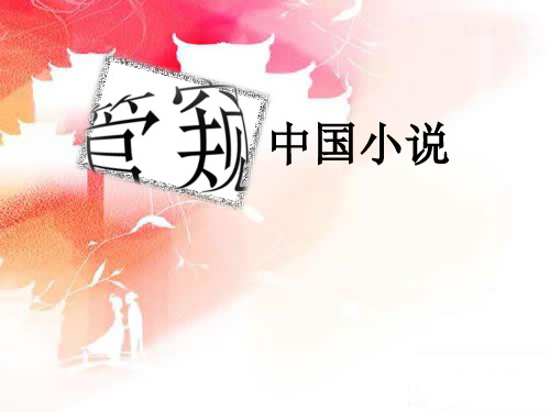 管窥中国小说PPT