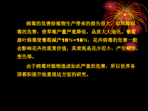 植物组织培养技术第七章植物脱毒快繁技术