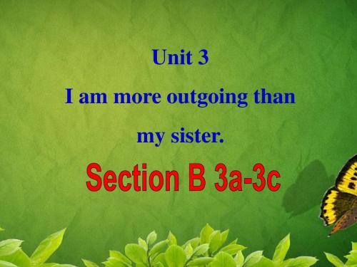 2013 I'm_more_outgoing_than_my_sister.SectionB3a-4
