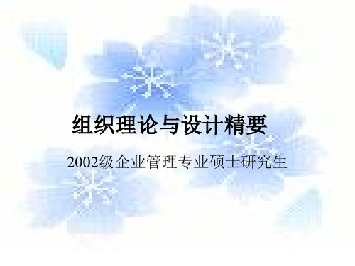 组织理论与设计精要-1