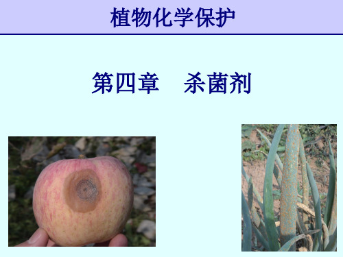 杀菌剂
