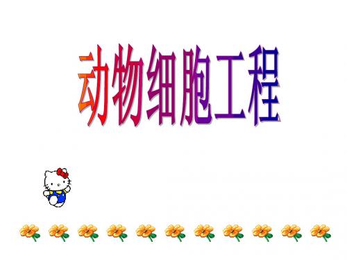高中生物选修3(人教版)动物细胞工程课件