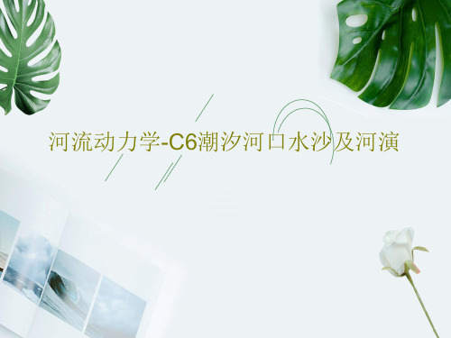河流动力学-C6潮汐河口水沙及河演46页PPT
