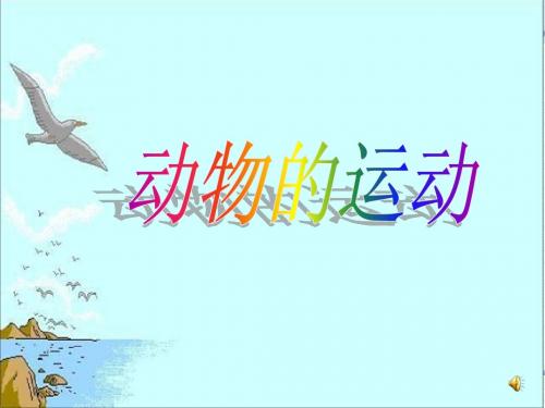 第一节 动物的运动