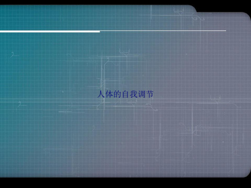 人体的自我调节讲课文档