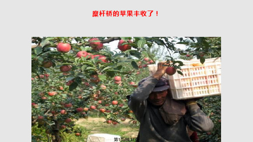 西风的话PPT课件