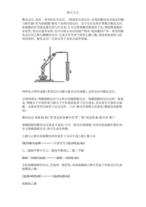 酯化反应 (2)