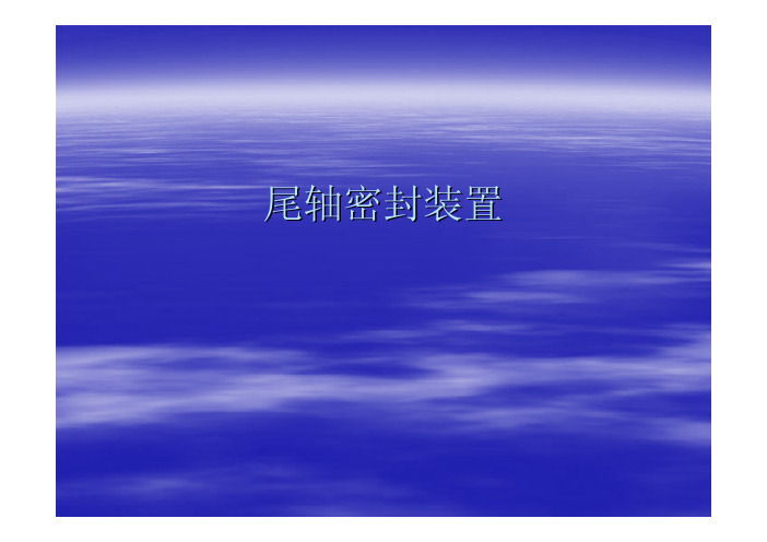 尾轴密封装置