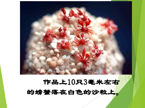 《核舟记》优秀教案公开课一等奖