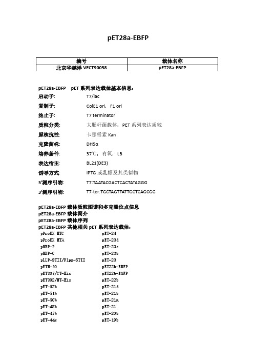 pET28a-EBFP使用说明