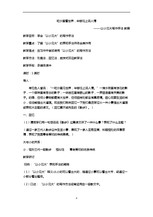 粒沙里看世界,半瓣花上说人情  以小见大写作手法 教案