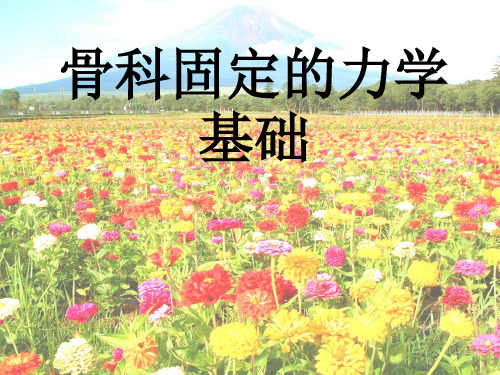 力学原理与骨折固定PPT课件