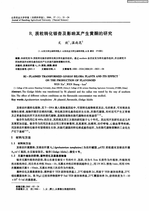 Ri质粒转化银杏及影响其产生黄酮的研究