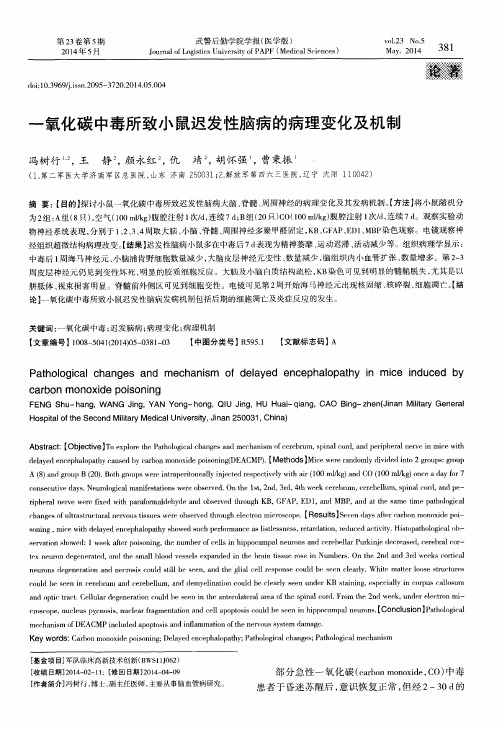 一氧化碳中毒所致小鼠迟发性脑病的病理变化及机制