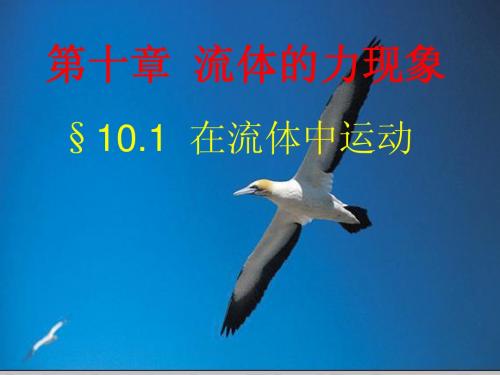 10.1 在流体中运动