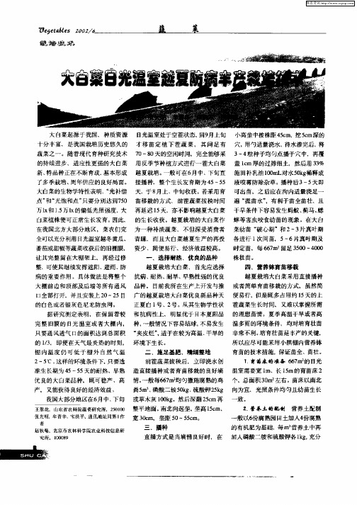 大白菜日光温室越夏防病丰产栽培技术