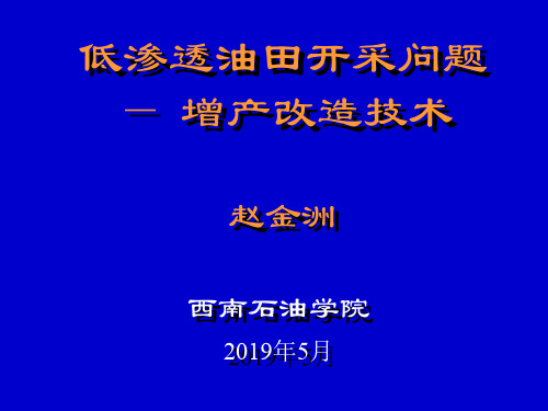 低渗透油藏增产改造技术(赵金洲)精品文档109页