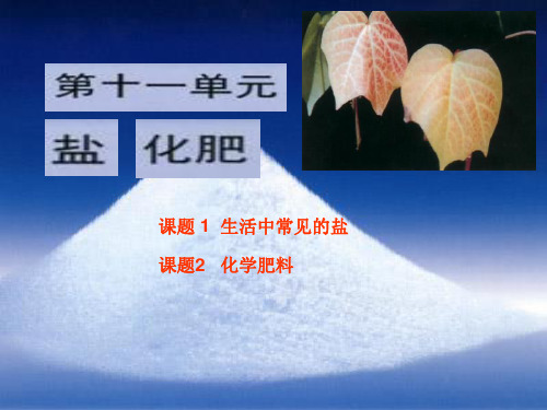 课题1生活中常见的盐CC精品PPT课件