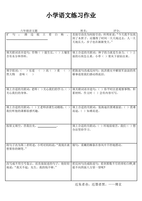 小学语文练习作业19