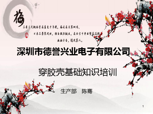 端子穿胶壳基础知识PPT课件