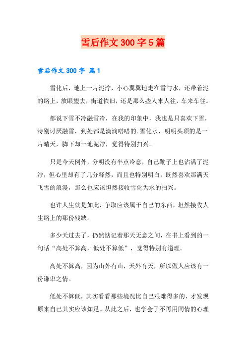 雪后作文300字5篇