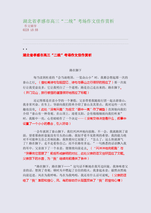 湖北省孝感市高三“二统”考场作文佳作赏析(整理精校版)