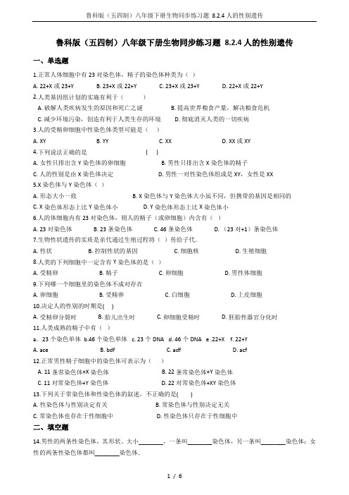 鲁科版(五四制)八年级下册生物同步练习题 8.2.4人的性别遗传