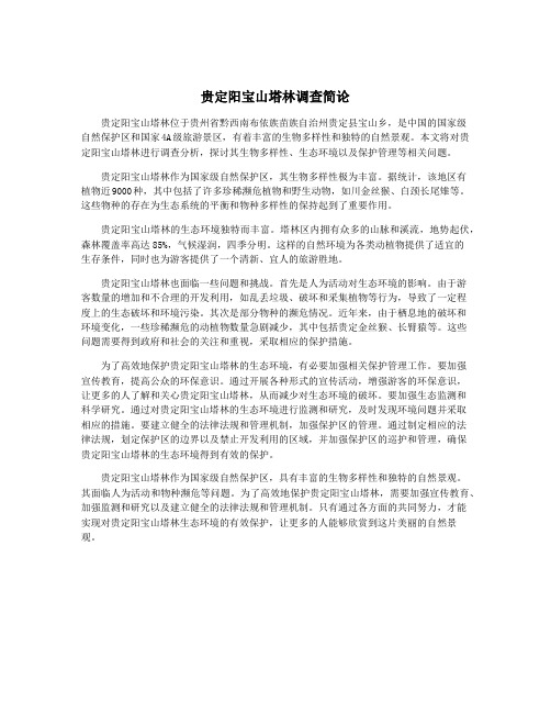 贵定阳宝山塔林调查简论