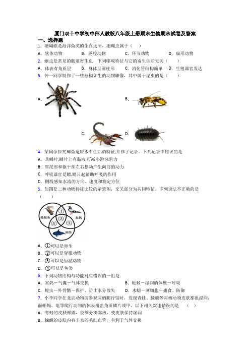 厦门双十中学初中部人教版八年级上册期末生物期末试卷及答案