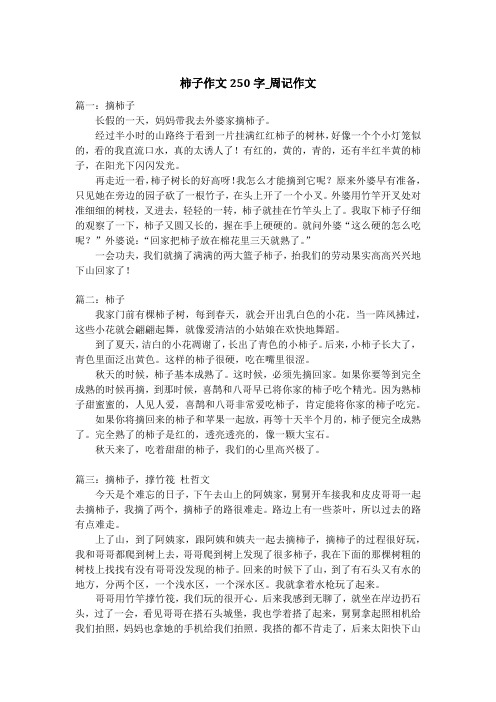 柿子作文250字_周记作文